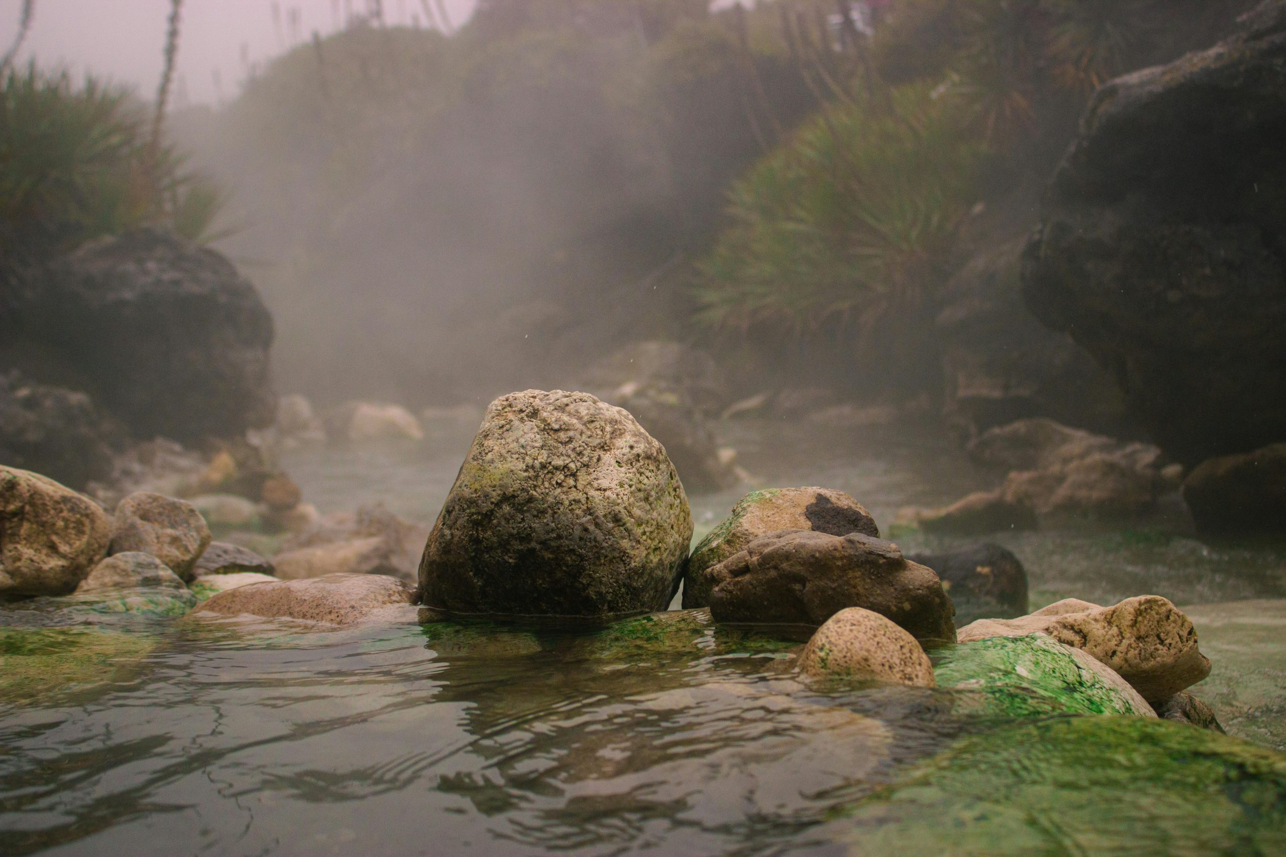 Práticas de Sustentabilidade