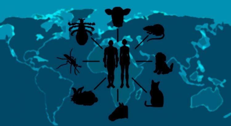 Capacitação em Parasitologia Aplicada aos Animais Domésticos – Zoonoses